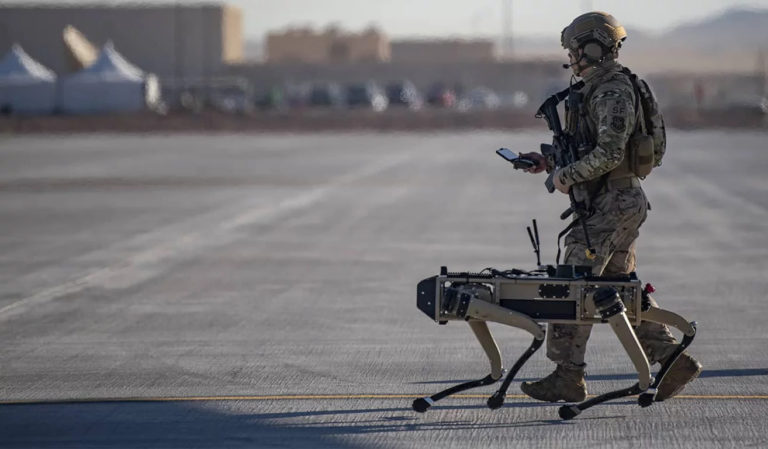 Autonomous Weapons and the Cardinal Principles of IHL