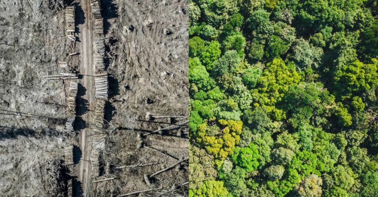 Ecocide: A Corollary of Climate Action or a New International Crime in the Making?